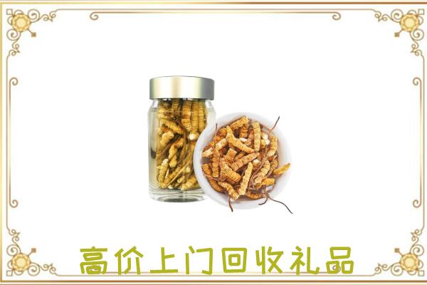 新余周边回收虫草